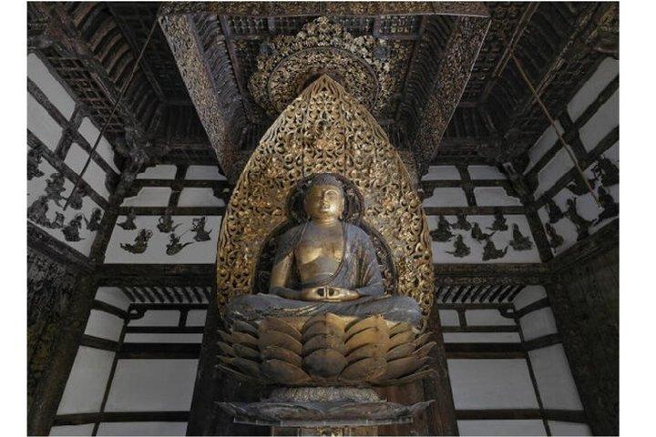 宇治ウォーキングツアー：平等院と茶道体験（京都から）