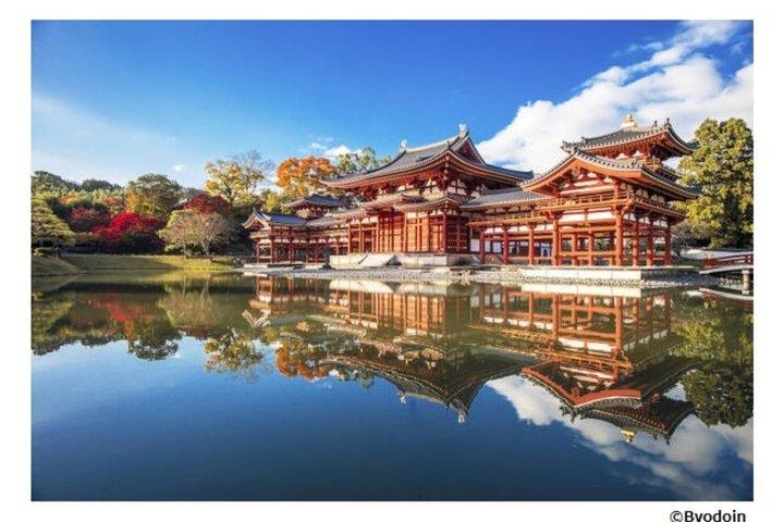 宇治ウォーキングツアー:平等院と茶道体験(京都から)