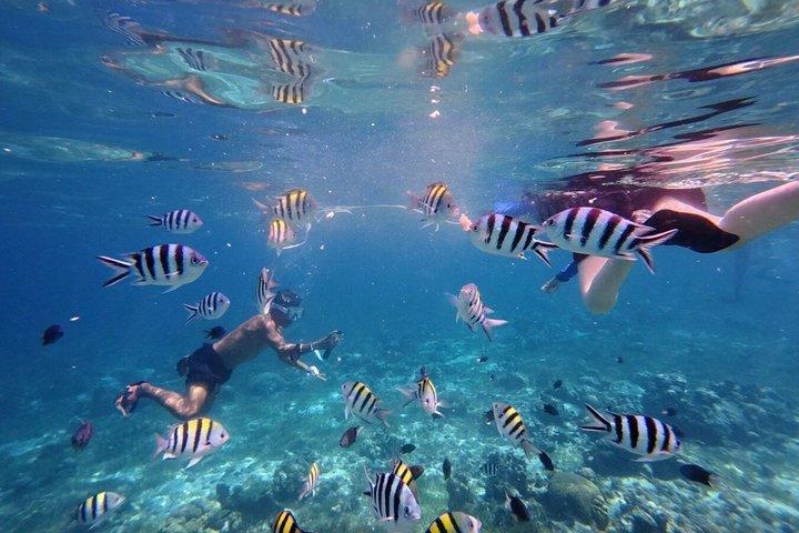 Premium Cebu Sunset Cruise
