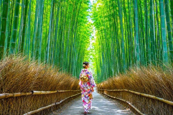 From Kyoto: Fushimi Inari, Kiyomizu Dera & Arashiyama Day Tour