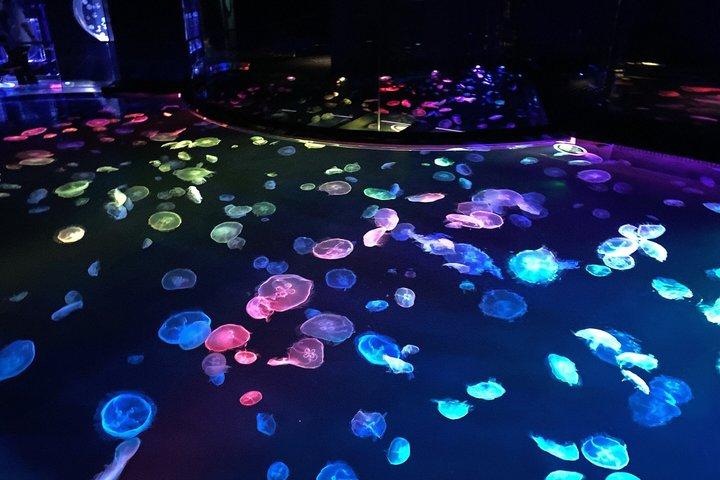 Tokyo Skytree und Sumida Aquarium Kombi-Ticket