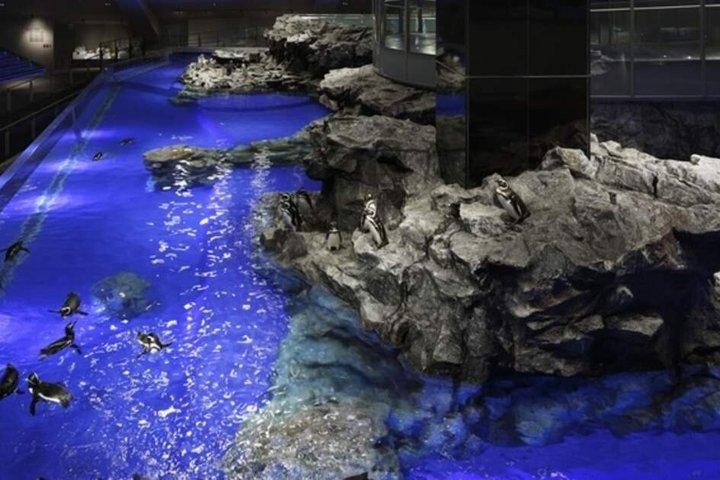 Tokyo Skytree und Sumida Aquarium Kombi-Ticket