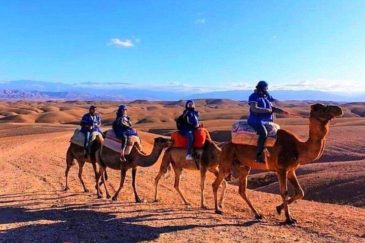 Agafay Desert Quad Biking Camel Ride Lunch and Pool Access