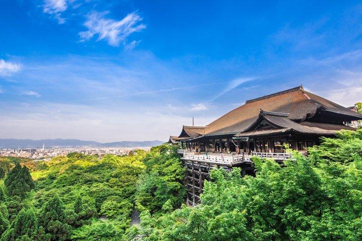 京都早朝ツアー 伏見稲荷 清水寺 祇園