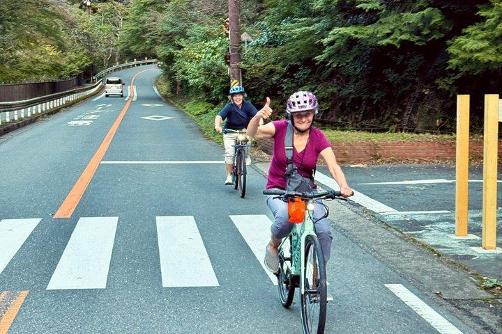 大阪Eバイクツアー：自然、勝尾寺と日本語のチーズケーキ