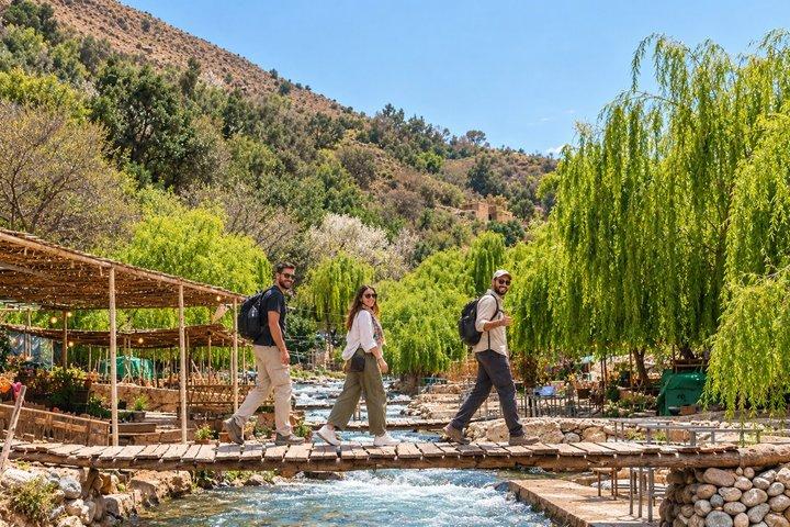 Marrakech: Atlas Mountains, Waterfalls, Hike & Lunch –Small Group