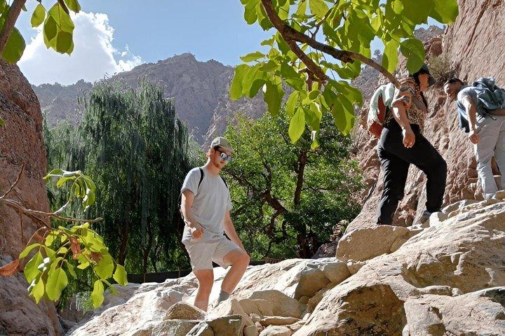 Marrakech: Atlas Mountains, Waterfalls, Hike & Lunch –Small Group