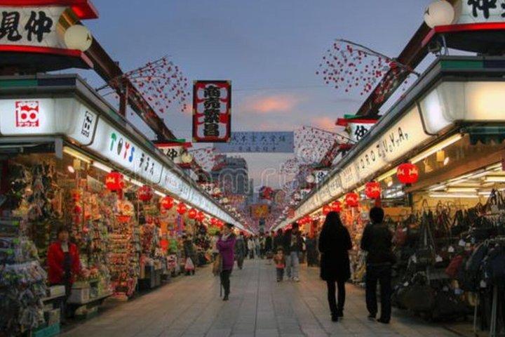 英語を話すドライバー付きの東京満喫一日カスタマイズツアー