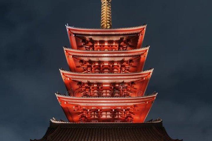 英語を話すドライバー付きの東京満喫一日カスタマイズツアー
