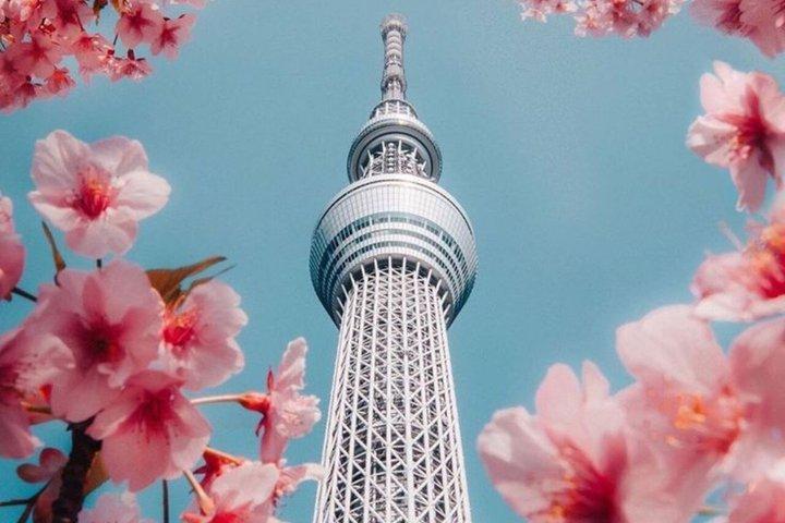 英語を話すドライバー付きの東京満喫一日カスタマイズツアー