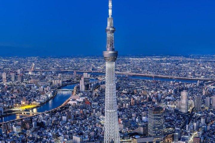英語を話すドライバー付きの東京満喫一日カスタマイズツアー