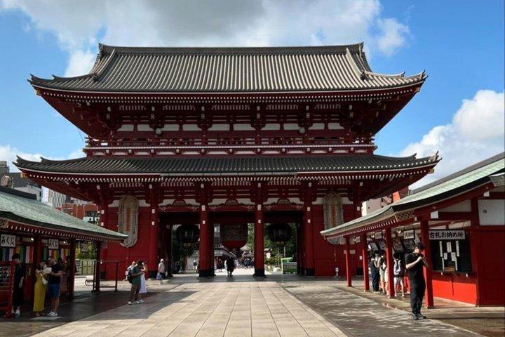英語を話すドライバー付きの東京満喫一日カスタマイズツアー