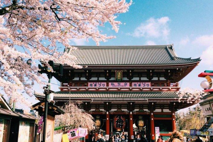 英語を話すドライバー付きの東京満喫一日カスタマイズツアー