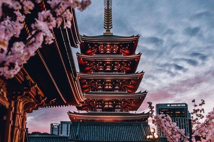 英語を話すドライバー付きの東京満喫一日カスタマイズツアー