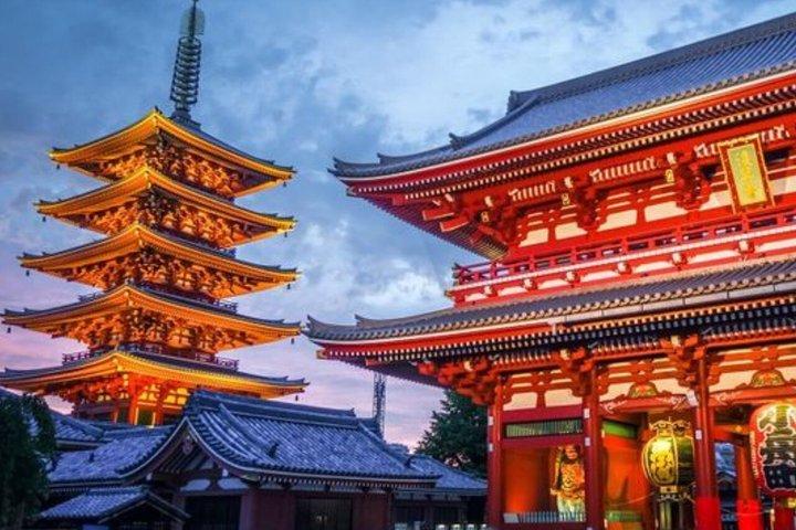 英語を話すドライバー付きの東京満喫一日カスタマイズツアー