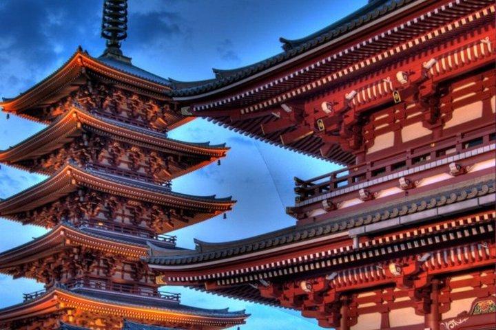 英語を話すドライバー付きの東京満喫一日カスタマイズツアー