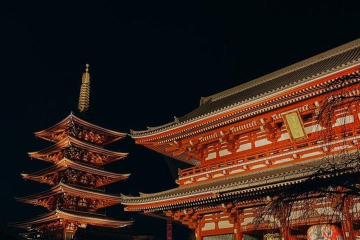 英語を話すドライバー付きの東京満喫一日カスタマイズツアー