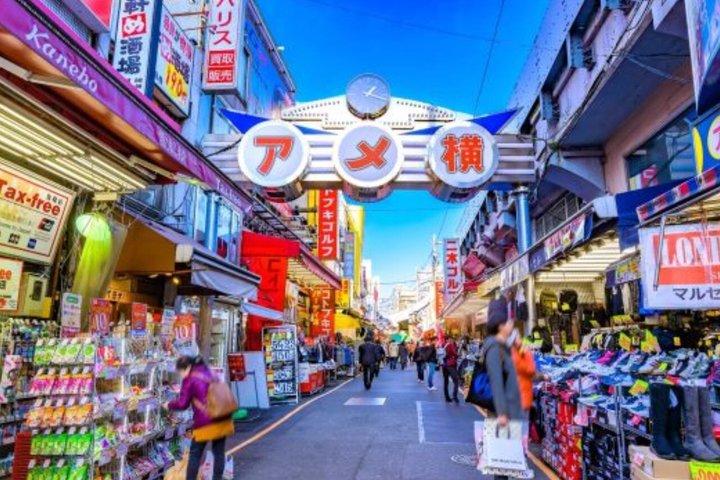 英語を話すドライバー付きの東京満喫一日カスタマイズツアー