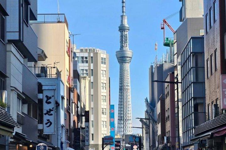 英語を話すドライバー付きの東京満喫一日カスタマイズツアー