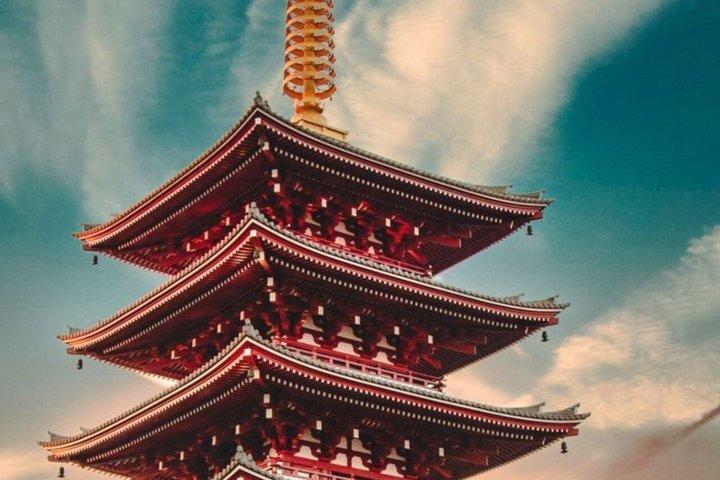 英語を話すドライバー付きの東京満喫一日カスタマイズツアー