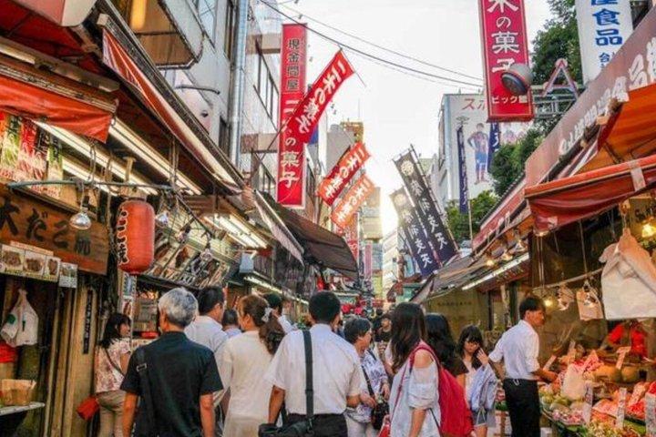 英語を話すドライバー付きの東京満喫一日カスタマイズツアー