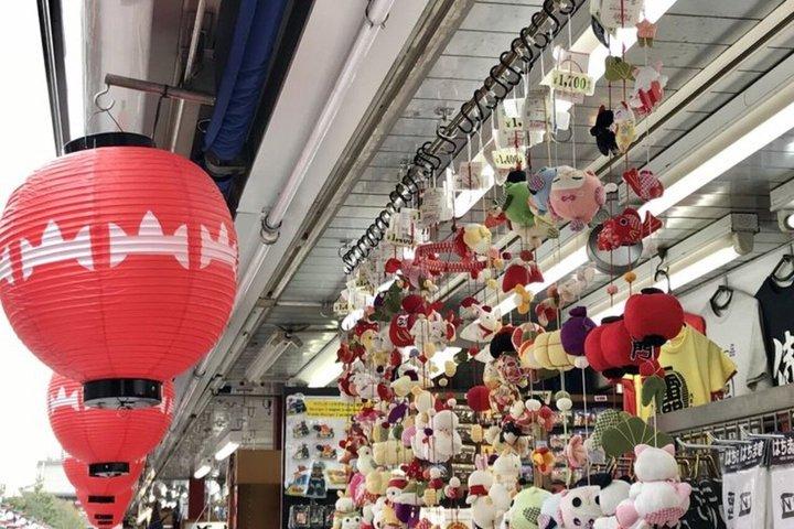 英語を話すドライバー付きの東京満喫一日カスタマイズツアー