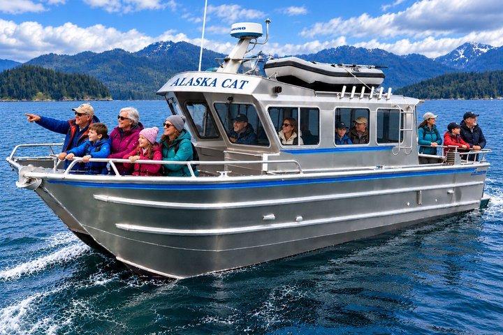 Excursion privée de 6 heures d'observation des baleines de Juneau et de visites personnalisées