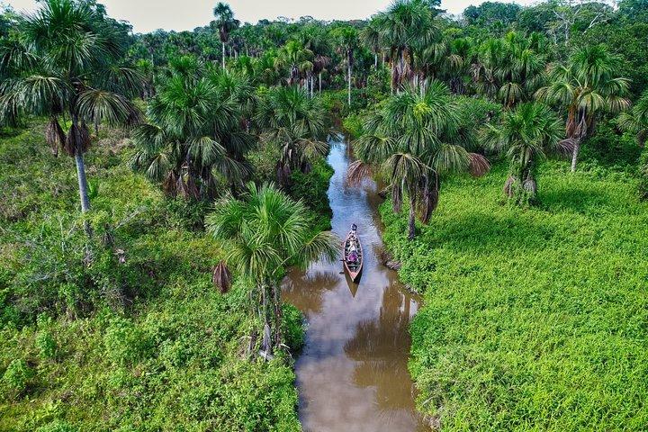 4-dages eventyr i Tambopata Amazonas-regnskoven
