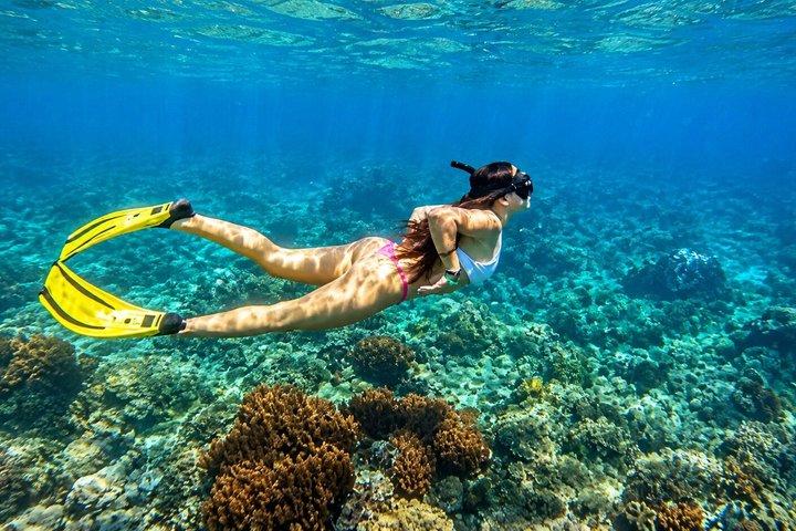 6人までのドライバーとのプライベートバリカーチャーター