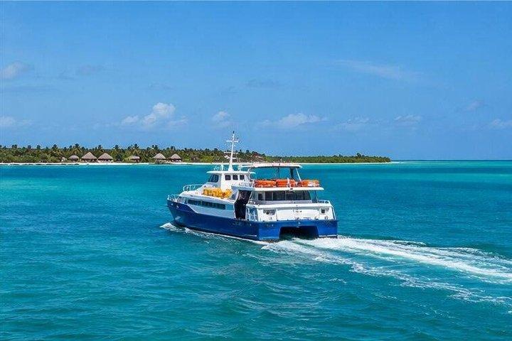 Direct Transfer from Playa del Carmen to Chiquilá