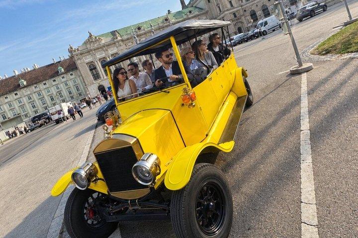 ウィーン旧市街のヴィンテージ電気自動車でのプライベートツアー