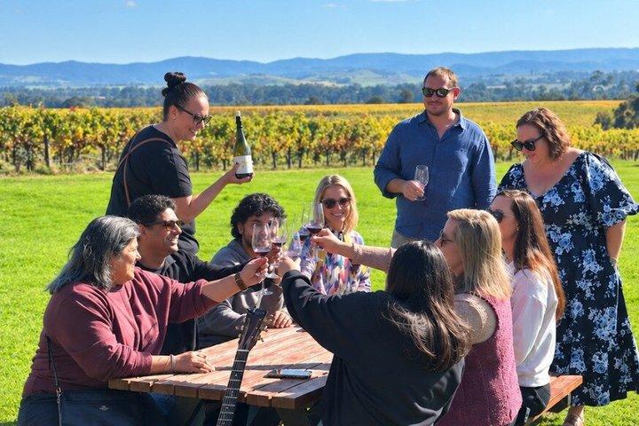 De Melbourne: Tour de Vinhos, Gin, Sidra e Chocolate do Vale do Yarra