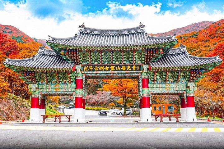 DMZ Small Group (Max 13) Defector, Mountain Temple & Majang Lake