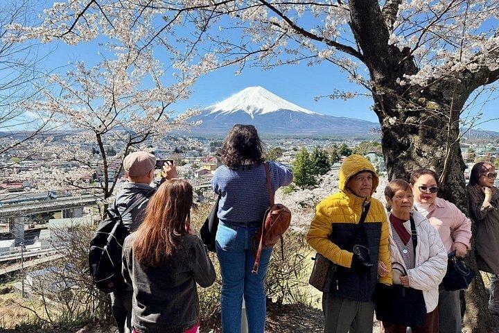 Fra Tokyo: Privat dagstur til Mount Fuji