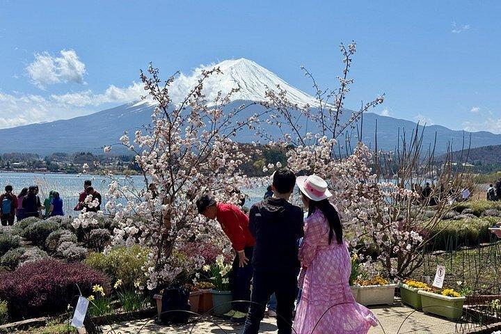 Fra Tokyo: Privat dagstur til Mount Fuji