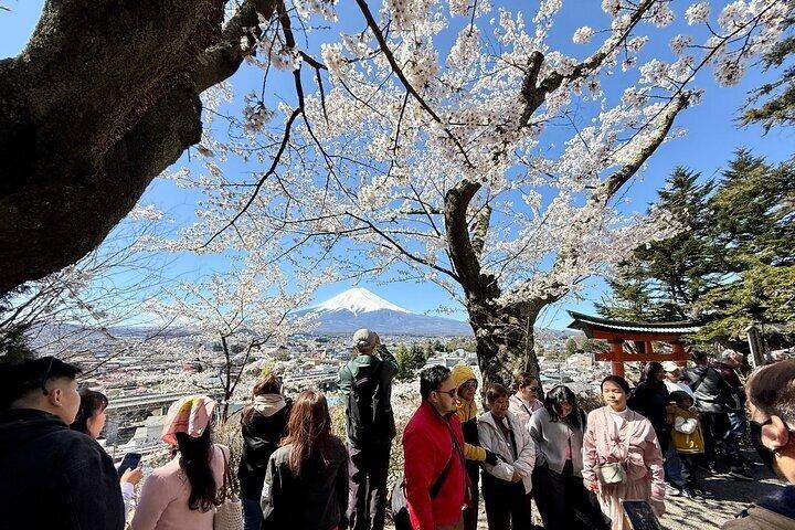 Fra Tokyo: Privat dagstur til Mount Fuji