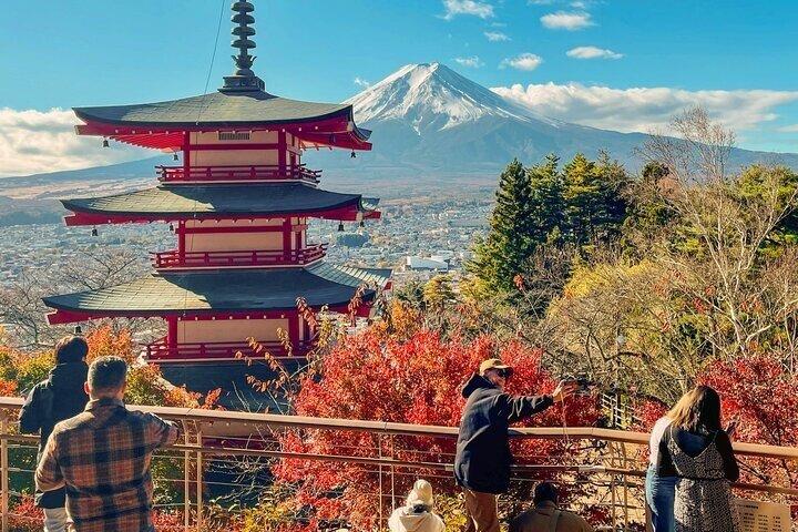 Fra Tokyo: Privat dagstur til Mount Fuji