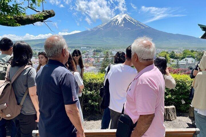 Fra Tokyo: Privat dagstur til Mount Fuji