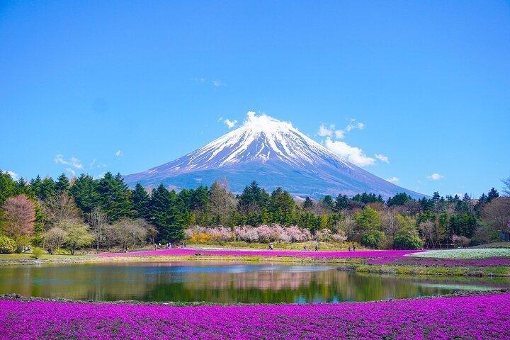 Fra Tokyo: Privat dagstur til Mount Fuji