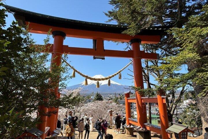 Fra Tokyo: Privat dagstur til Mount Fuji