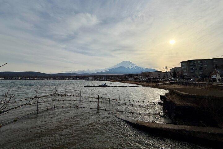Fra Tokyo: Privat dagstur til Mount Fuji