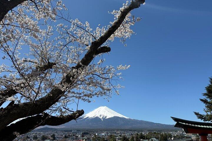 Fra Tokyo: Privat dagstur til Mount Fuji
