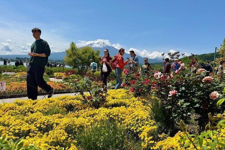 Fra Tokyo: Privat dagstur til Mount Fuji
