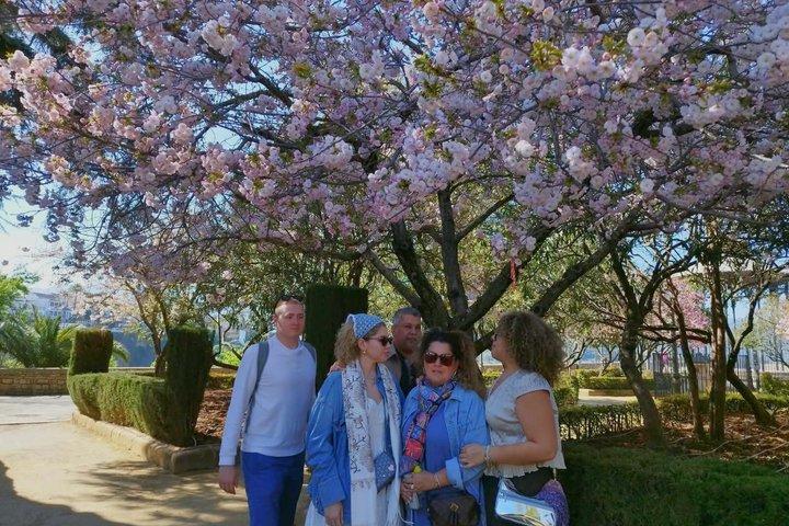 Ronda from Málaga: Private Excursion with Transport
