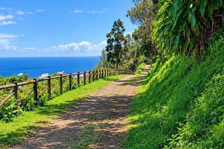 Segway Tour Monte Brasil | Terceira Island