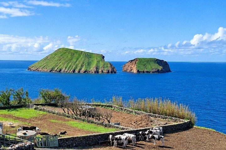Island Van Tour (Full Day) | Terceira Island