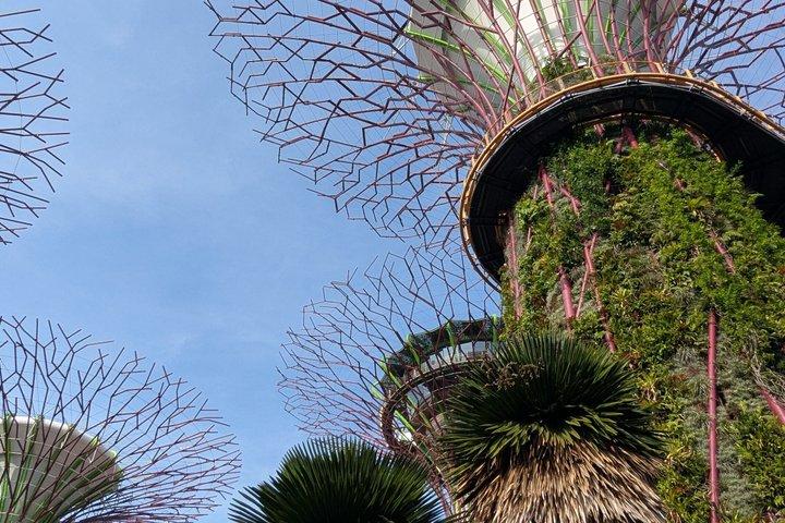 マリーナベイサンズ＆スカイパークツアー：ラグジュアリー、建築、庭園