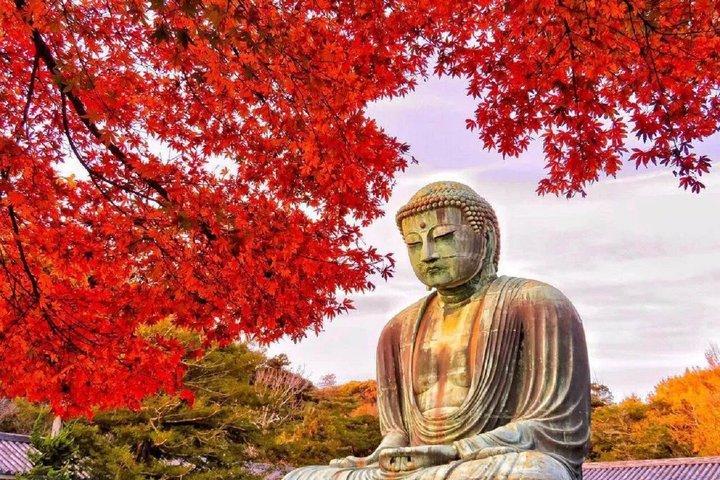Depuis Tokyo : visite d'une journée complète à Kamakura, au sanctuaire Hachimangu et à Enoshima