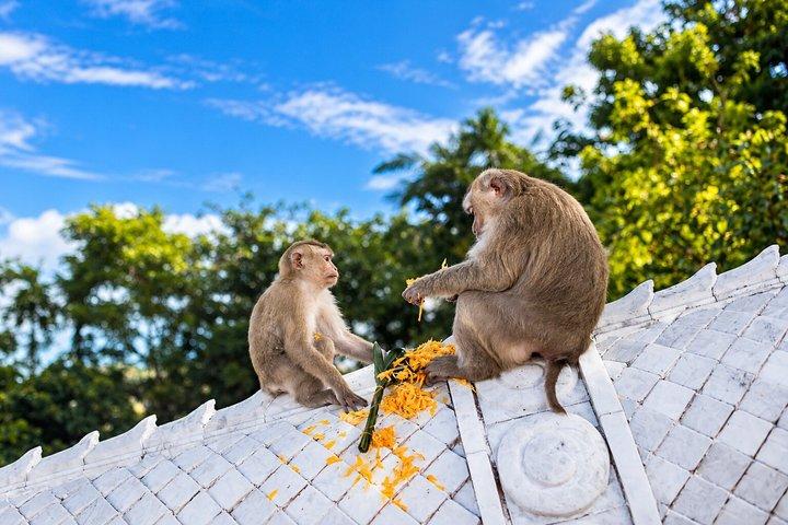 プーケット市内ツアー — 大仏、ワット・チャロン、旧市街、ローカルスナック