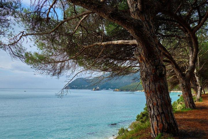 Boat trip Arrábida beaches, Setúbal